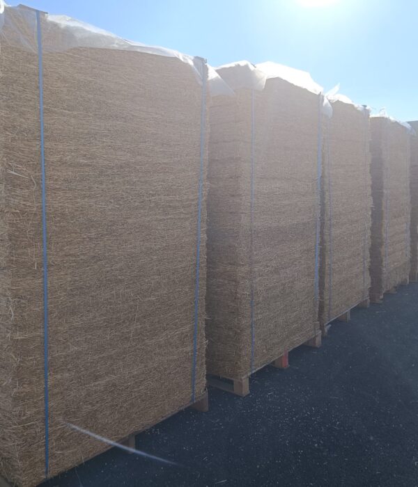 stock copano